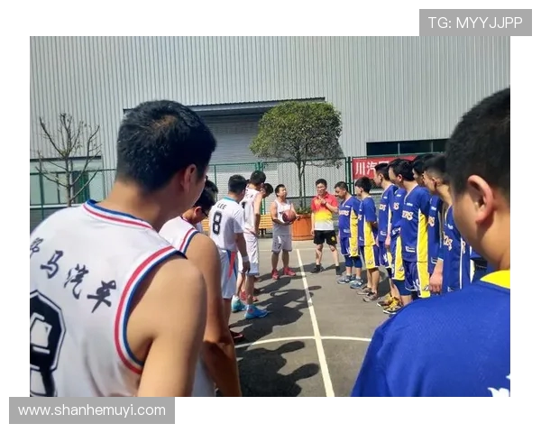 深入分析成都羽毛球队的运营策略与发展模式探讨