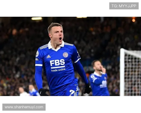 埃弗顿对阵莱斯特城精彩视频直播全程回顾与赛后分析