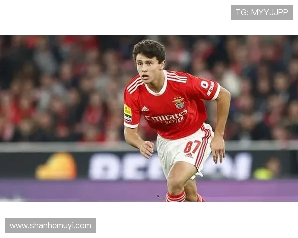 若昂内维斯:从天才少年到足球场上的璀璨明星之路